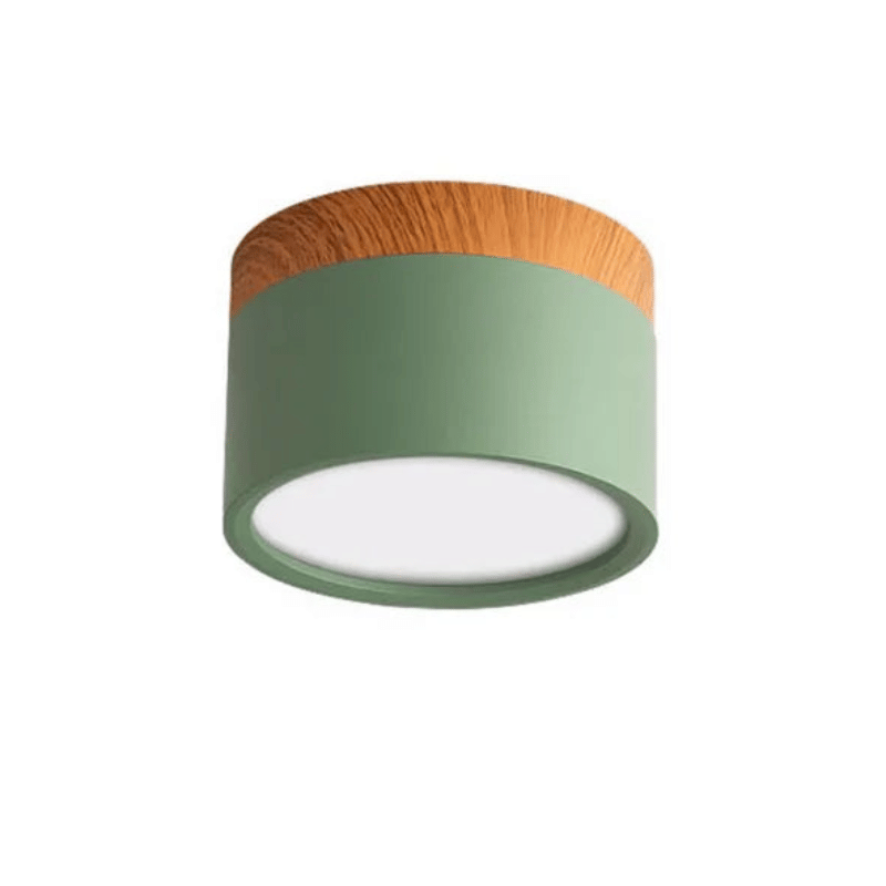 LED Plafondlamp Färgljusa