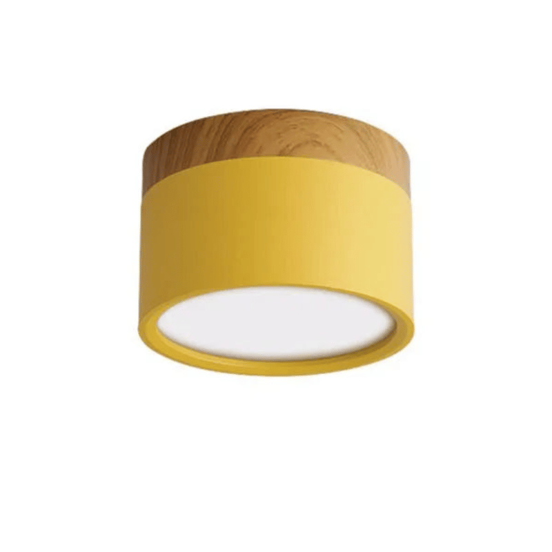 LED Plafondlamp Färgljusa